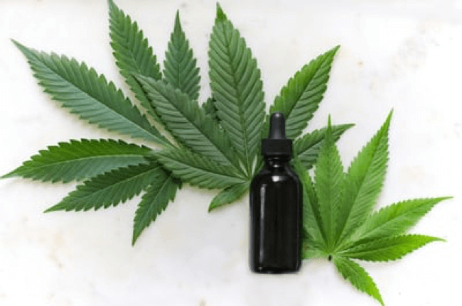 Hemp Leaves and Bottle for CBD Wholesale in Colorado Springs