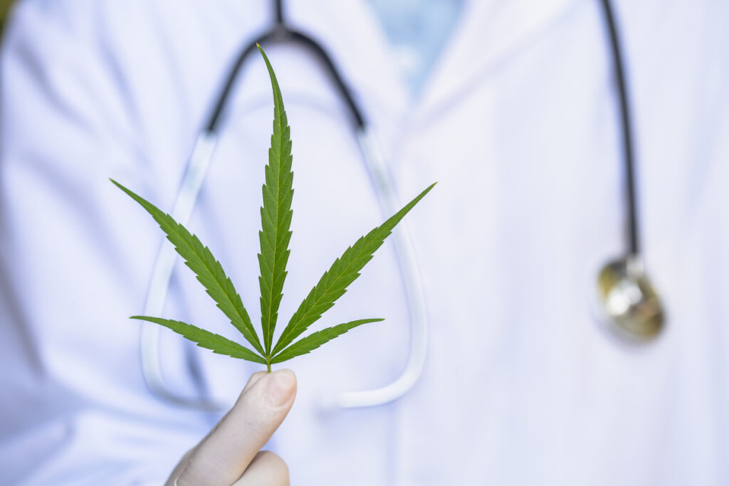 Doctor Holding A Hemp Leaf That Contains CBD Health Benefits