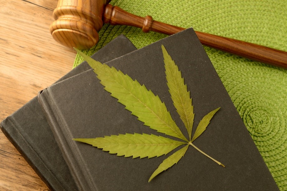 A hemp leaf on top of some black books with a gavel laying beside them